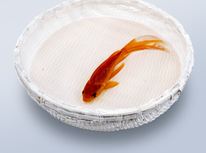 圖片2.png